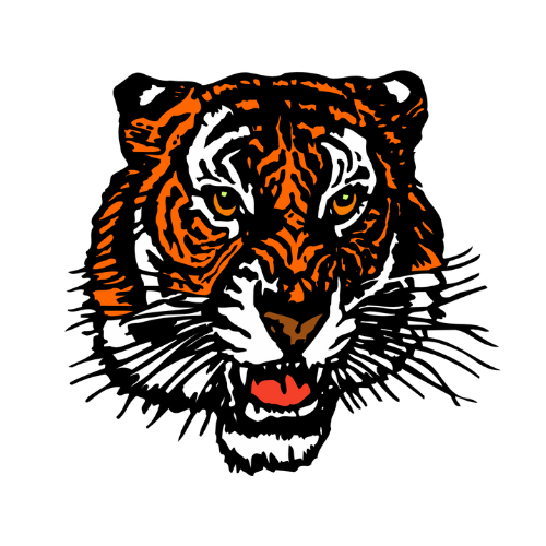 Strasburg Tigers